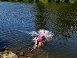 Mainschwimmen Juni 2026
